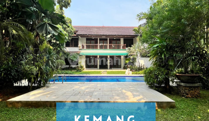 Rumah Bagus Tanah dan Halaman Luas Kemang Private Pool Rumah Bagus Tanah dan Halaman Luas Kemang Private Pool