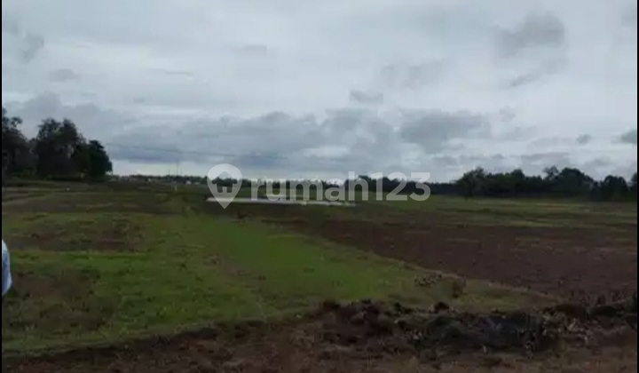 Quick Sale of Strategic Land in Serang Banten Quick Sale of Strategic Land in Serang Banten