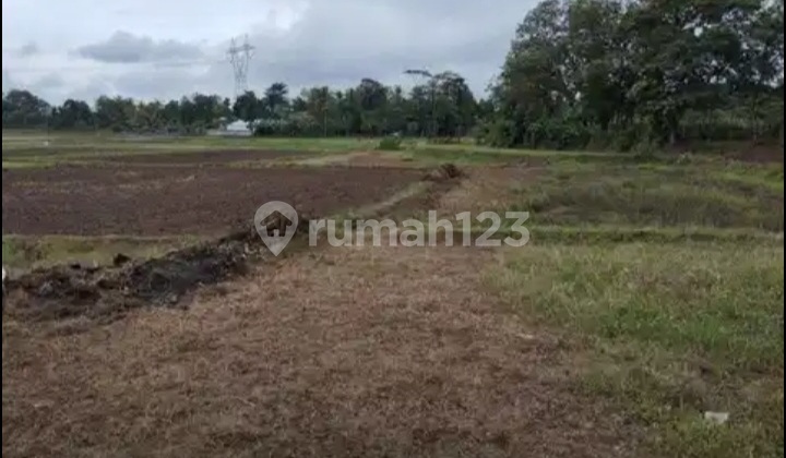 Quick Sale of Strategic Land in Serang Banten Quick Sale of Strategic Land in Serang Banten