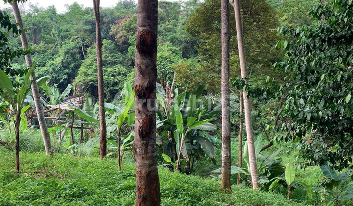 Kavling MURAH dekat pantai anyer 10