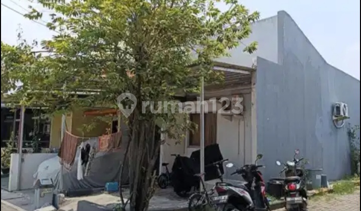 Quick Sale Strategic House Grand Duta Tangerang Quick Sale Strategic House Grand Duta Tangerang