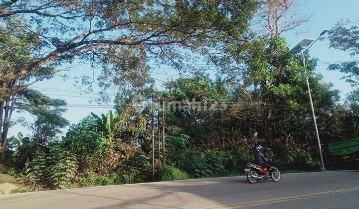 TANAH LUAS 2,38 HEKTAR DI JL. SOEKARNO HATTA BALIKPAPAN - KALIMANTAN TIMUR 2