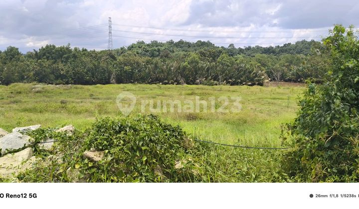 Disewakan Lahan 1 Hektar Di Kawasan Industri Kariangau Km 13 Balikpapan Disewakan Lahan 1 Hektar Di Kawasan Industri Kariangau Km 13 Balikpapan