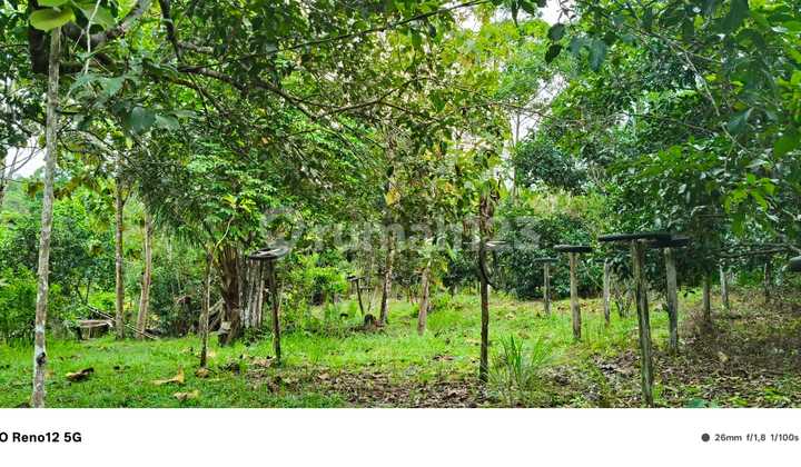 For Sale 1.3 Hectare Land In Transad Km 8 Balikpapan
