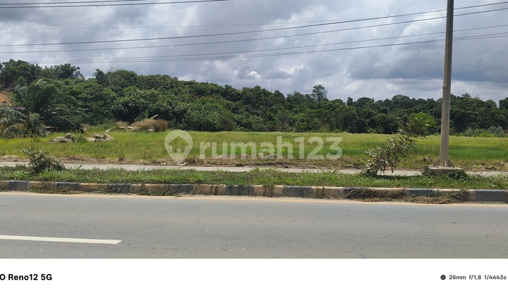 Disewakan Tanah Luas 1,2 Hektar Kawasan Industri Kariangau Km 13 Balikpapan Disewakan Tanah Luas 1,2 Hektar Kawasan Industri Kariangau Km 13 Balikpapan