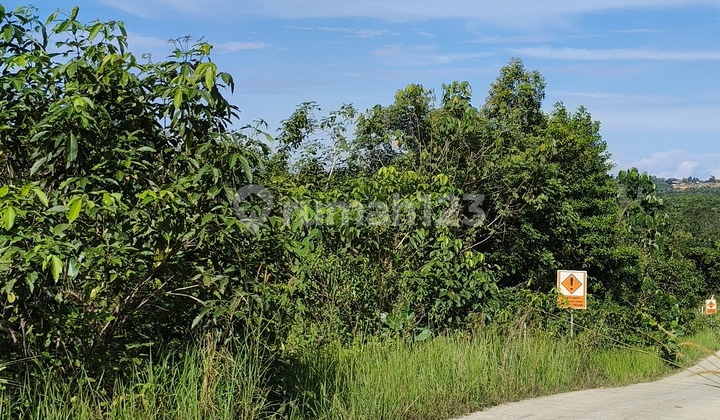 Dijual Lahan Luas 11.170 M2 Dikawasan Industri Kariangau Km 13 Balikpapan Dijual Lahan Luas 11.170 M2 Dikawasan Industri Kariangau Km 13 Balikpapan