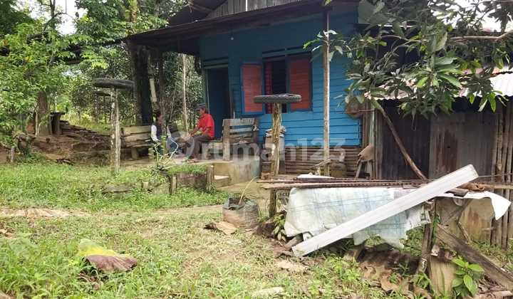 For Sale 1.3 Hectare Land In Transad Km 8 Balikpapan