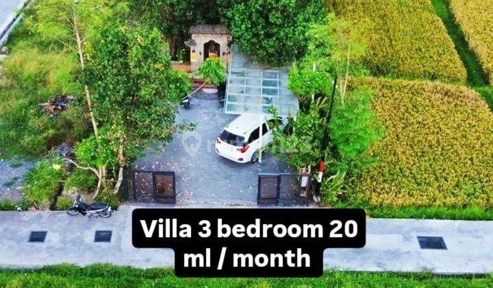 For rent the villa is in the middle of a large rice field, quiet, no noise, 10 minutes from the center of Ubud, monkey forest, Ubud Gianyar

, For rent Villa rice field view Sayan 10 menutes from Central Ubud Gianyar, mongkey fores.Gianyar Bali Indonesia  2