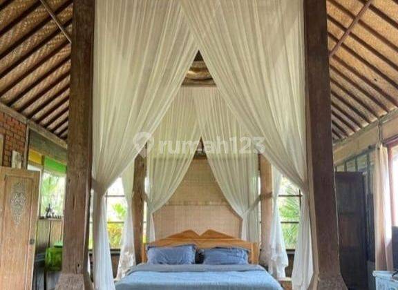 For Rent Villa Rice Field View Ubud In The Middle Of Rice Field Ubud , 10 Routes From The Center Of Ubud Gianyar, Mongkey Fores. Ubud In The Middle Of The Rice Fields Sunset View Of The Most Beautiful Rice Fields In The World 10 Routes From The Center Of  2