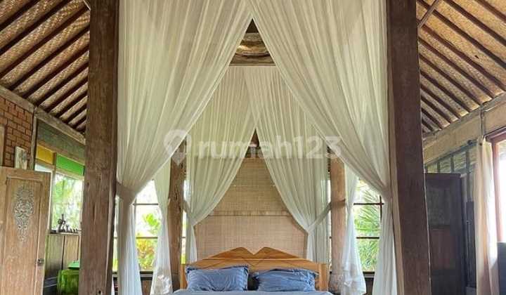 For Rent Villa Rice Field View 10 Menutes From Sentral Ubud Gianyar Bali 2