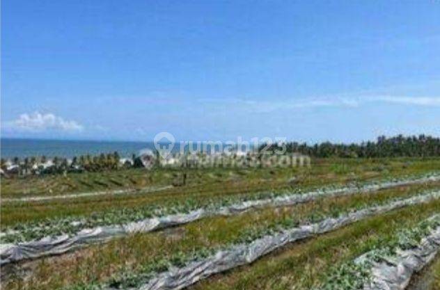 Land for Sale Near Klecung Beach Banjar Bobali Selemadeg Timur Tabanan Bali Indonesia Strategic 10 Minutes to Soka Antasari Tabanan Toll Gate 1