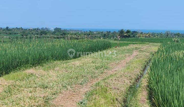 Dijual Cepat Tanah View' Laut 900 Meter Dari Pantai Klecung 10 Menutes From Badjre Kediri Tabanan Bali Indonesia Strategis  2