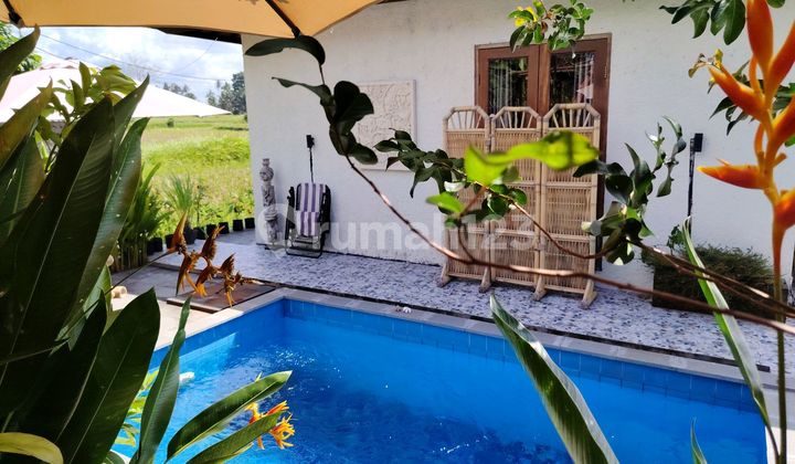 For Rent Villa with Rice Field View, 10 Minutes from Monkey Forest Center, Ubud, Bali, Indonesia. Strategically located 40 minutes to Canggu, Nyanyi Beach, Canggu, and 5 minutes from Rusters Cafe. Price 18,000,000. Very beautiful view. For Rent Villa with Rice Field View, 10 Minutes from Monkey Forest Center, Ubud, Bali, Indonesia. Strategically located 40 minutes to Canggu, Nyanyi Beach, Canggu, and 5 minutes from Rusters Cafe. Price 18,000,000. Very beautiful view.