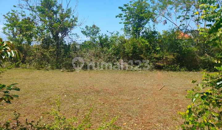 Dijual tanah murah lokasi Jimbaran Bali Indonesia strategis lebar muka hadap jalan 45 meter sangat dekar de Pepito Jimbaran Bali Indonesia Dijual tanah murah lokasi Jimbaran Bali Indonesia strategis lebar muka hadap jalan 45 meter sangat dekar de Pepito Jimbaran Bali Indonesia