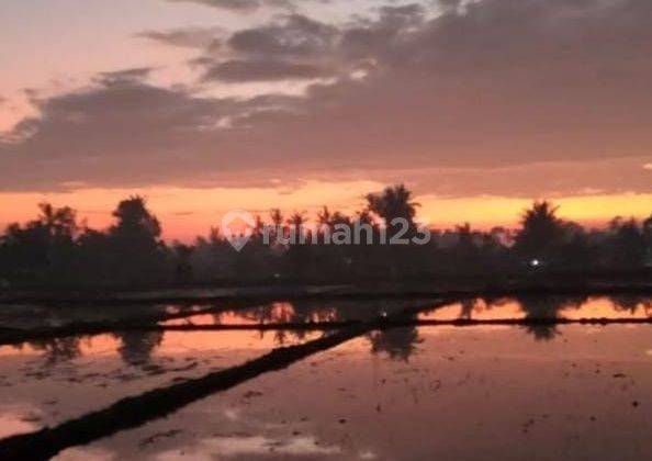 Villa Ubud Villa in the middle of rice field with Rice Field View Ubud Bali Indonesia strategis near From RUsters Kafe Sayan Ubud  1