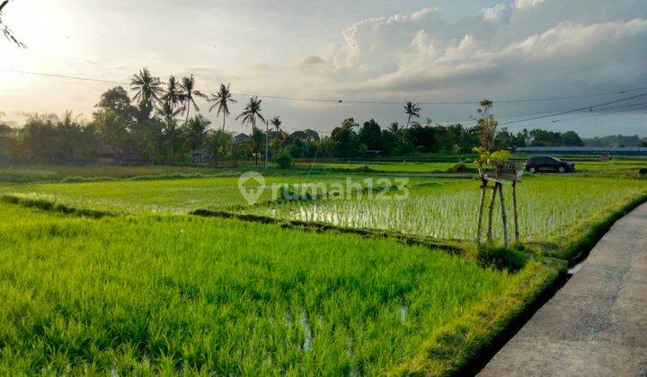 FOR Rent Villa in the middle of rice field view Sayan Ubud Bali, 10 menutes from Central Ubud 5 menutes From RUsters Kafe Sayan Ubud Bali Indonesia rice field view, Rental 1 Month free 2 Day no charge  1