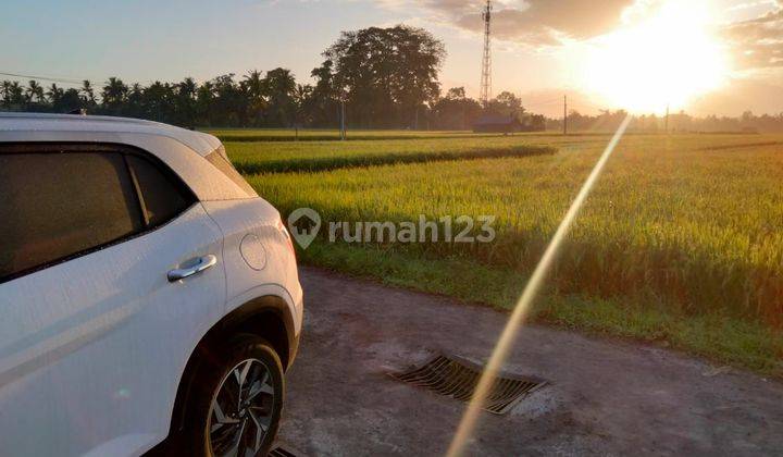 For Rent Villa 2 Bedroom Villa Available December 3 And Available Now 1 Bedroom With Natural Panoramic Views Of The Most Beautiful Rice Fields In Ubud, Feel The Sensation Rice Field View Ubud For 3 Month Ubud 5 Menit From Rusterskafe Sayan Ubud Gianyar, R 1