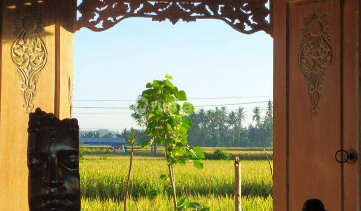 For rent villa rice field view Sayan Ubud Bali Indonesia strategic 10 menutes from Central Ubud Gianyar Bali 10 menutes from mongkey forest center Ubud 40 menutes from Canggu Nyanyi beach Tanah Lot strategic tabanan  2