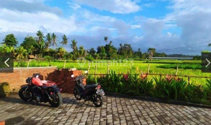 Di kontrakan Villa IDR 16.000.000. rice field view 10 menutes from mongkey forest center ubud Gianyar Bali Indonesia  1