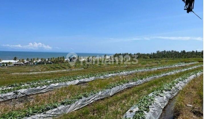 Tanah dijual murah dekat pantai Klecung banjar bobali Berembeng Selemadeg 10 menit dari PINTU TOL SOKA Tabanan Bali Indonesia strategis near From beach Klecung SOKA 