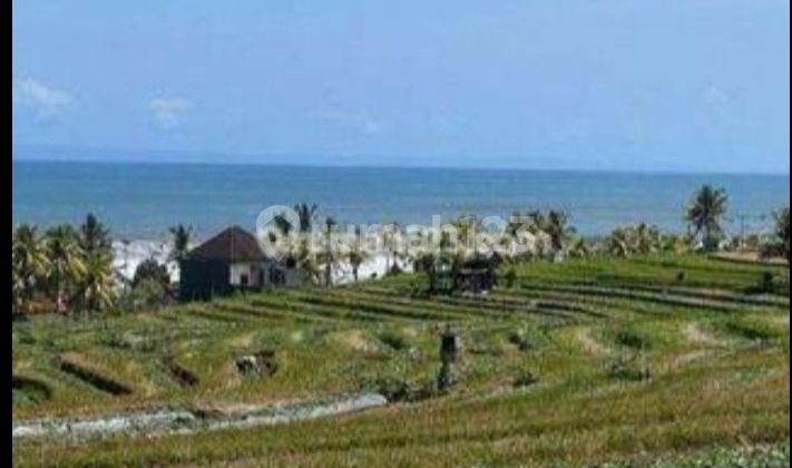 Affordable land with SHM status on residential certificate, 10 minutes from Soka Toll Gate in Tabanan, Bali, according to land designation. Affordable land with SHM status on residential certificate, 10 minutes from Soka Toll Gate in Tabanan, Bali, according to land designation.