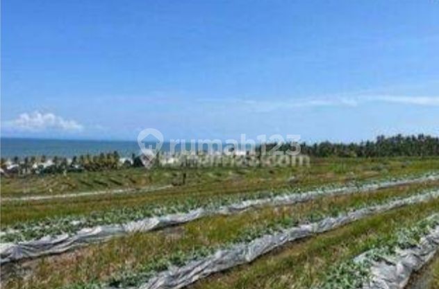 tanah murah SHM status di sertifikat rumah tinggal 10 menit dari Pintu TOL Soka tabanan Bali sesuai peruntukan Tanah