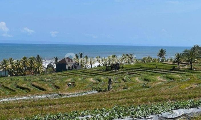 For Sale Fast Land Strategic Location in Tabanan 800 Meters From Bobali Klecung Beach Rice Field View Tabanan Bali Indonesia 40 Minutes From Canggu Tanah Lot 40 Minutes to Denpasar Bali 15 Minutes to Bni Jalan Raya Badjre Tabanan