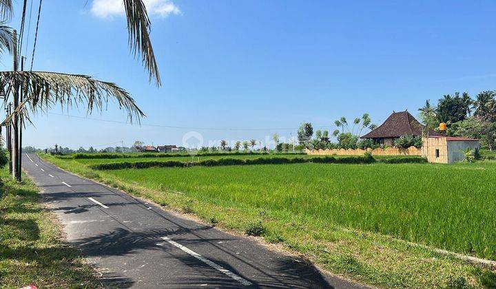 For Rent Villa 3 Bedroom Ubud Gianyar Villa Available December 3 And Available Now 1 Bedroom With Natural Panoramic Views Of The Most Beautiful Rice Fields In Ubud, Feel The Sensation Rice Field View Sayan Ubud Gianyar 10 Menutes From Mongkey Forest Sentr 2