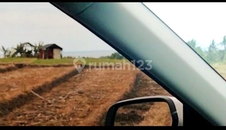 Dijual murah tanah dekat Pantai Bobali Brembeng Selemadeg timur 10 menit ke PINTU TOL SOKA Tabanan Bali 10 menit ke kantor bank BNI badjre Tabanan Dijual murah tanah dekat Pantai Bobali Brembeng Selemadeg timur 10 menit ke PINTU TOL SOKA Tabanan Bali 10 menit ke kantor bank BNI badjre Tabanan