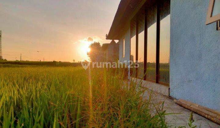 Villas for sale for 4.9 billion, there are 4 villas with a land area of 900 meters, occupancy is 80 percent Rental Location in the middle of a large, quiet rice field with no neighbors For rent Villa very beautiful sunset Rice Field View 2 bedroom 2 bathroom swimming pool 2