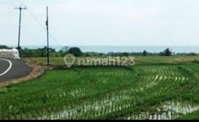 land not far from Soka beach, 15 minutes to Soka-mengwi toll gate 15 minutes from Krambitan Tabanan