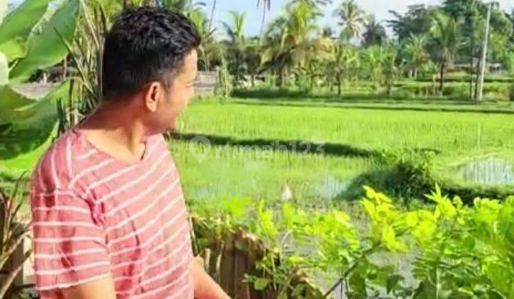 For rent villa Ubud in the middle of the rice field view healing, Gianyar Bali 10 menutes From Mongkey Forest Villa di Ubud Jalan Pure Dalam Banjar Tunon Singakerta Ubud Bali , Gianyar  Lease hold Villa 10 menutes from mongkey forest Central Ubud Gianyar  2