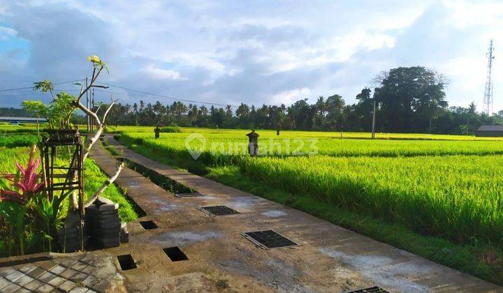 For Rent Villa Ubud Rice Field View 5 Menutes From Ruster Kafe And Pepito Supermarket Sayan Ubud Sayan Singakerta Ubud Gianyar 10 Menutes From Mongkey Forest Center Ubud 40 Menutes From Canggu Nyanyi Beach Tanah Lot Tabanan Bali Indonesia   2