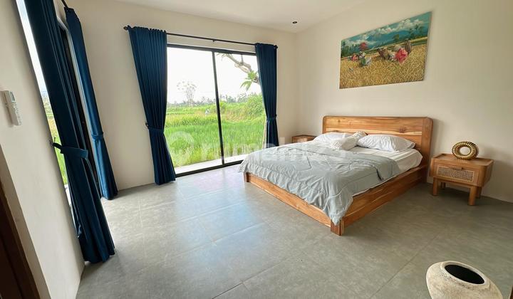 For Rent Villa Rice Field Viewvilla 2 Bedroom Rice Field View 10 Menutes From Mongkey Forest Sentral Ubud Gianyar, You Feel The Natural Beauty Of Ubud Which Is Very Authentic 10 Menutes From Mongkey Forest Sentral Ubud Gianyar, You Feel The Natural Beauty For Rent Villa Rice Field Viewvilla 2 Bedroom Rice Field View 10 Menutes From Mongkey Forest Sentral Ubud Gianyar, You Feel The Natural Beauty Of Ubud Which Is Very Authentic 10 Menutes From Mongkey Forest Sentral Ubud Gianyar, You Feel The Natural Beauty