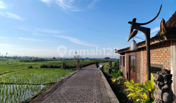 Dijual Tanah Dekat Pantai 900 Meter Ke Pantai Klecung Shm Cuma 1 M Saja Harga Global Net Murah Shm Peruntukan Di Shm Rumah Tinggal Siap Dibangun Villa 1500 Meter 10 Menit Dari Pintu Tol Soka Shm 800 Meter Dari Garis Pantai View Bagus'sekali Dijual Tanah Dekat Pantai 900 Meter Ke Pantai Klecung Shm Cuma 1 M Saja Harga Global Net Murah Shm Peruntukan Di Shm Rumah Tinggal Siap Dibangun Villa 1500 Meter 10 Menit Dari Pintu Tol Soka Shm 800 Meter Dari Garis Pantai View Bagus'sekali