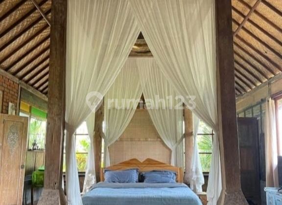 For Rent Villa Avalaible Bungalow, 1 Bedroom Rice Field View 10 Menutes From Mongkey Forest Sentral Ubud Gianyar You Feel The Natural Beauty Of Ubud Which Is Very Authentic Ubud Gianyar Bali Rice Field View Ubud Bali 2 Bedroom Villa Available December 3 A 2
