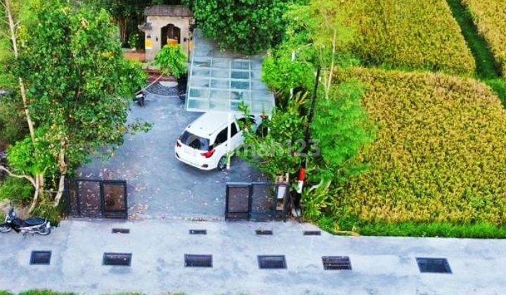 For rent  Villa rice field view Sayan Ubud 10 menutes from mongkey forest center ubud 40 menutes from Canggu Nyanyi beach Tanah Lot tabanan Bali Indonesia in the middle of rice fields 10 menutes from Central Ubud Bali Indonesia rice field view  1