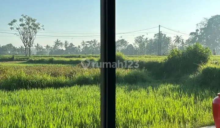 For Rent Villa Ubud Gianyar 3 Bedroom N The Middle Of A Large Rice Field, Rice Field View Sayan 10 Menutes From Central Ubud Gianyar, Mongkey Forest Dikontrakkan Villa Di Ubud 12 Menit From Central Ubud Mongkey Forest 40 Menutes From Canggu  1