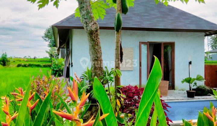 For rent villa Ubud in the middle of the rice field view healing, Gianyar Bali 10 menutes From Mongkey Forest Villa di Ubud Jalan Pure Dalam Banjar Tunon Singakerta Ubud Bali , Gianyar  Lease hold Villa 10 menutes from mongkey forest Central Ubud Gianyar  2