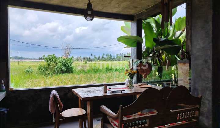 For Rent Villa Rice Field View 10 Minutes From Monkey Forest Center Ubud Bali Indonesia Strategic 40 Minutes From Tanah Lot Canggu Nyanyi Beach Canggu 5 Minutes From Rusters Kafe Sayan Only 10 M Per Month Free Electricity Free Housekeeping 1