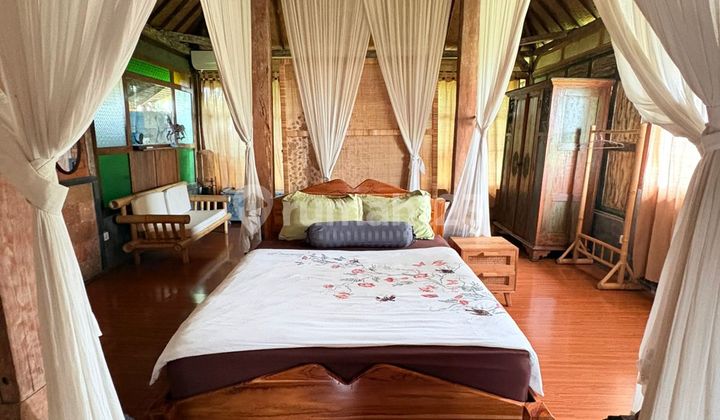 For Rent Villa Rice Field View Sayan Rusters Kafe Ubud 10 Menutes From Mongkey Forest Center Ubud 40 Menutes From Canggu Nyanyi Beach Tanah Lot Gianyar 5 Menutes From Rusterskafe Sayan Singakerta Ubud 2