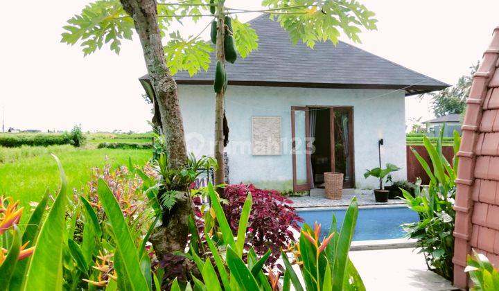 For rent villa Ubud in the middle of the rice field view healing, Gianyar Bali 10 menutes From Mongkey Forest Villa di Ubud Jalan Pure Dalam Banjar Tunon Singakerta Ubud Bali , Gianyar  Lease hold Villa 10 menutes from mongkey forest Central Ubud Gianyar  1