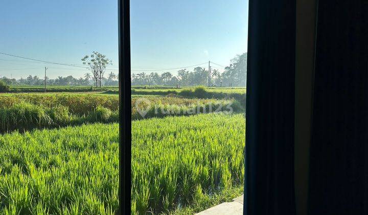 Di Rental Villa Rice Field View 10 Menutes From Central Ubud Gianyar 12 Menutes From Mongkey Forest  2