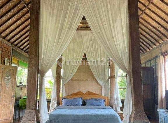 Villa for rent in Ubud 12 minutes from Central Ubud monkey forest 40 menutes from Canggu Nyanyi beach Tanah Lot Tabanan Bali Villa in the middle of rice field with Rice Field View Ubud Bali Indonesia strategic near From RUsters Kafe Sayan Ubud  2