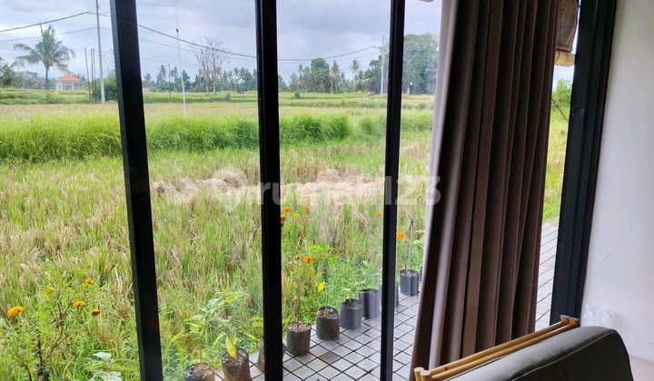 Villa for rent 10 minutes to Central Ubud Gianyar 40 menutes from Canggu Nyanyi beach Tanah Lot strategic Singakerta Ubud Bali Indonesia Strategic near From Central Ubud Bali Indonesia Villa for rent 10 minutes to Central Ubud Gianyar 40 menutes from Canggu Nyanyi beach Tanah Lot strategic Singakerta Ubud Bali Indonesia Strategic near From Central Ubud Bali Indonesia