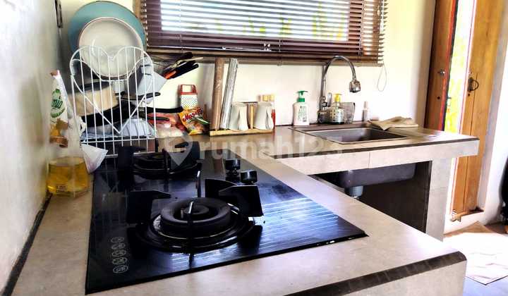 For rent villa ubud 3 bedroom 3 bathroom swimming pool furnished WiFi free parking free house keeping 10 menutes from mongkey forest sentral Ubud mongkey forest Ubud Gianyar Bali  2