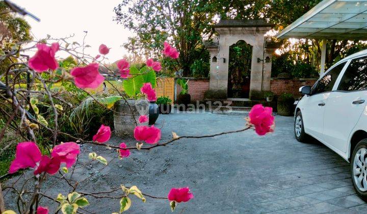 Villa For Rent Rice Field View Quite In Ubud Gianyar 10 Menutes From Mongkey Forest Sentral Ubud Gianyar Bali 40 Menutes From Canggu Nyanyi Beach Club Bali Indonesia  1