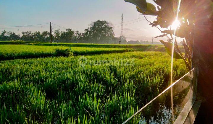 For Rent Villa Rice Field View Ubud Mitra Village Tunon" Most Beautiful Rice Fields View.*10 Minutes From Central Ubud, Monkey Forest,*40 Minutes From Canggu Nyanyi Beach,*5 Minutes From Rusters Cafe,3 Bedroom 3 Bathroomfully Furnished Kitchen, Washing Ma 1