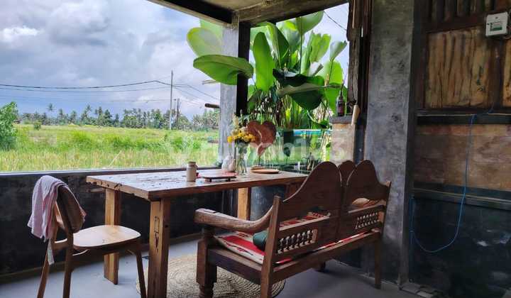 For Rent Villa with Rice Field View, 10 Minutes from Monkey Forest Center Ubud, Bali, Indonesia. Strategic Location 40 Minutes from Canggu, Nyanyi Beach, Tanah Lot.