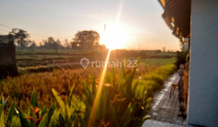 For Rent Villa Rice Field View 10 Menutes From Mongkey Forest 10 Menutes From Rusters Kafe Price 17.000.000. Rice Field View 10 Menutes From Mongkey Forest Center Ubud Gianyar Bali Indonesia  1